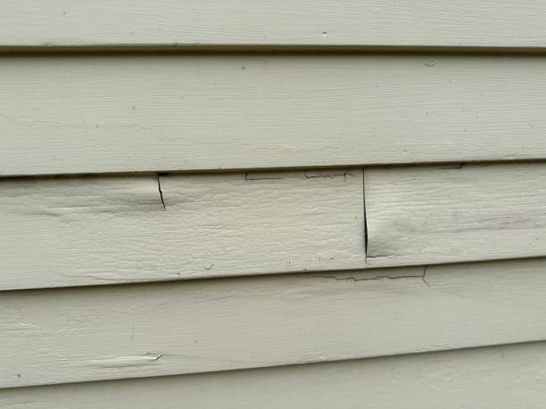 Best Custom Trim and Detailing for Siding  in Big Pine Key, FL